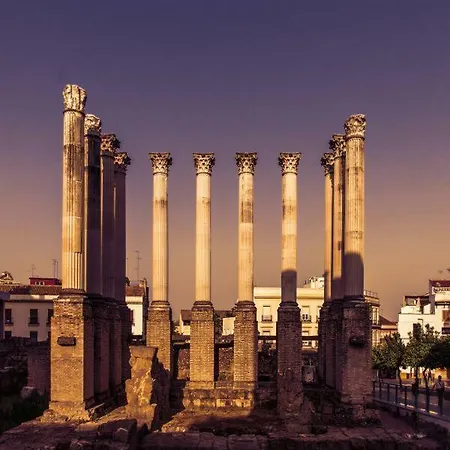 Apartment Pink Lemon *